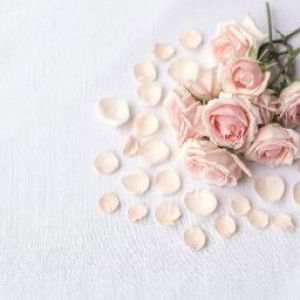 Aqeela Jawahir profile icon