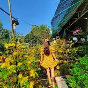 Lê Thảo profile icon