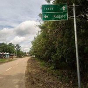 Rifamayatika Okdithia profile icon