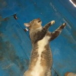 Fitri Yani profile icon