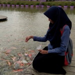 Linda lawrens profile icon