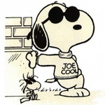 amppothi profile icon