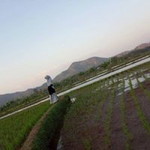 Erni Azizah profile icon