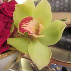 eveth etik profile icon