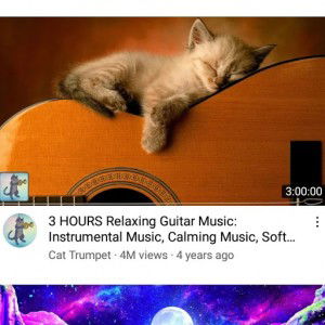 Richard Desoloc profile icon