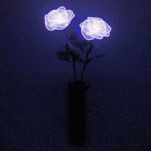 JShane bee profile icon