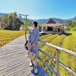 Nittaya Namnampeth profile icon