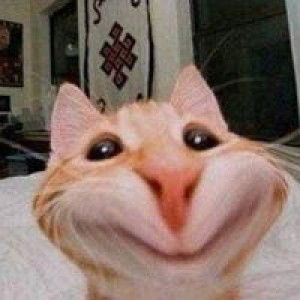 ชนกกานต์ ต๋าคำ profile icon