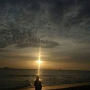 Resa Mayori profile icon