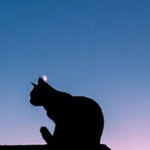 Jumarni profile icon