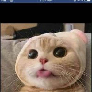 Noraijah Galius profile icon