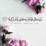 Safira Ulyani profile icon