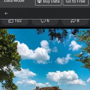 Roxan Siddayao profile icon