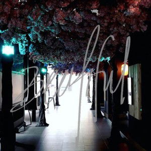 Nur Firdaus Zubir profile icon