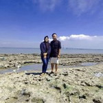 Nenk Ul profile icon