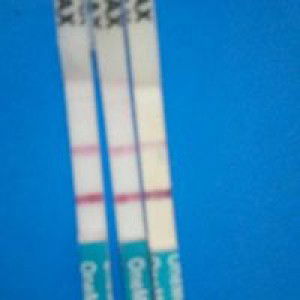 Uci Suci profile icon