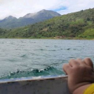 Shintia Permata Dewi profile icon