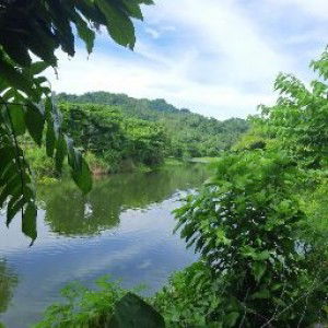 Rowencil Banila profile icon