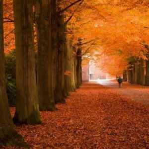 Puspita Sri profile icon