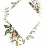 noonatepy STEPHANIE CHRISTY DOERLEBEN profile icon