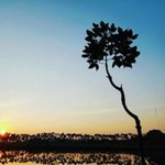 Maghfiroh Afi profile icon