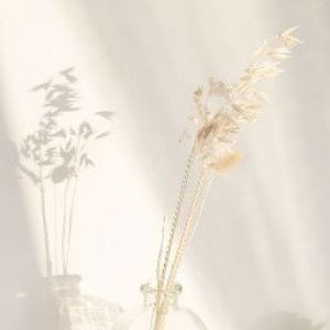 ria dwi fratiwi profile icon