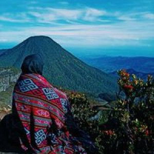 Farah Rarah profile icon