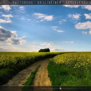 'Azimatusy Syahidah profile icon