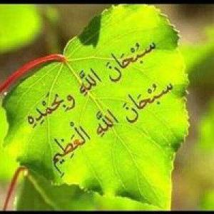 Winda Nurcholis profile icon