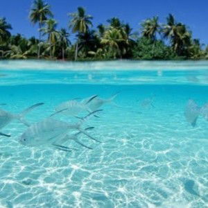 Balqis Azizah profile icon