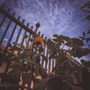 Devi Triyani YC profile icon