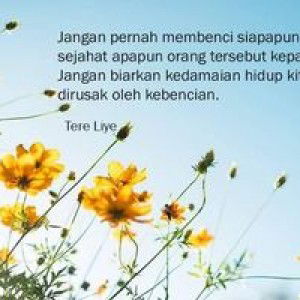 Zeehaan Citye profile icon