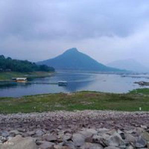 Dewiharyani profile icon