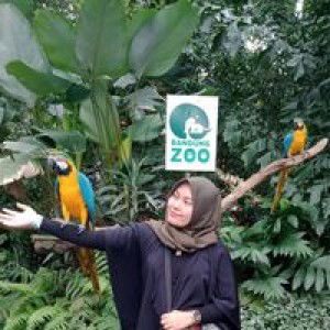 Nda Linlin profile icon