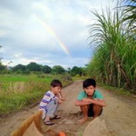 Hikmatul Qonita profile icon