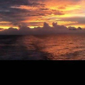 nina widianti profile icon