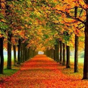 Fadlina Terah Kelebihan Kami profile icon