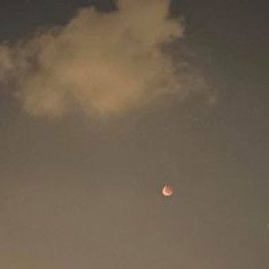 Rossita Put profile icon