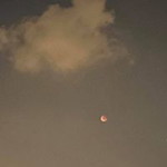 Rossita Put profile icon