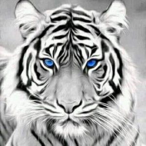 Jajat Hidayat profile icon