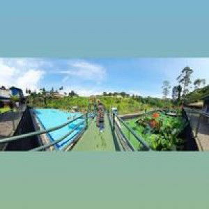 Tia Tia profile icon