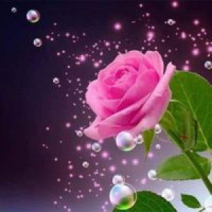 Missy Yanna profile icon