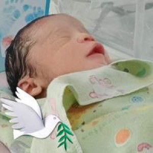 Nabil Nabil profile icon