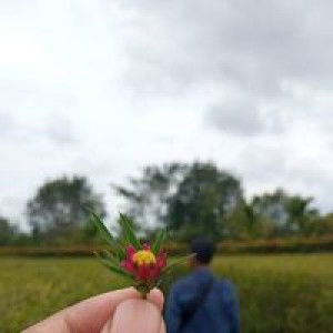 Siti Nurhidayah profile icon