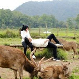 Bunga Pusti P profile icon