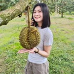 Jeabfii NP profile icon
