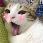 Maxpein Zin profile icon