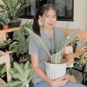 Kanokporn Atchu profile icon