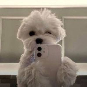 Rods Varona profile icon