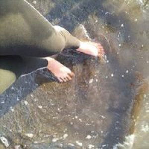 Villa Avi profile icon